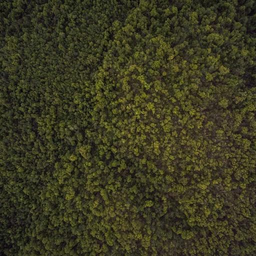 Cat Sticker Set preview 1